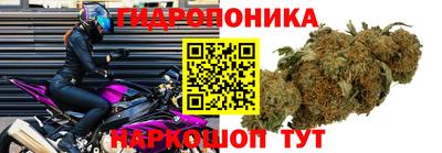 винт Пугачёв