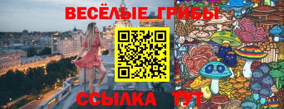 Псилоцибиновые грибы ЛСД  Вход с VPN  закладки  Ноябрьск 